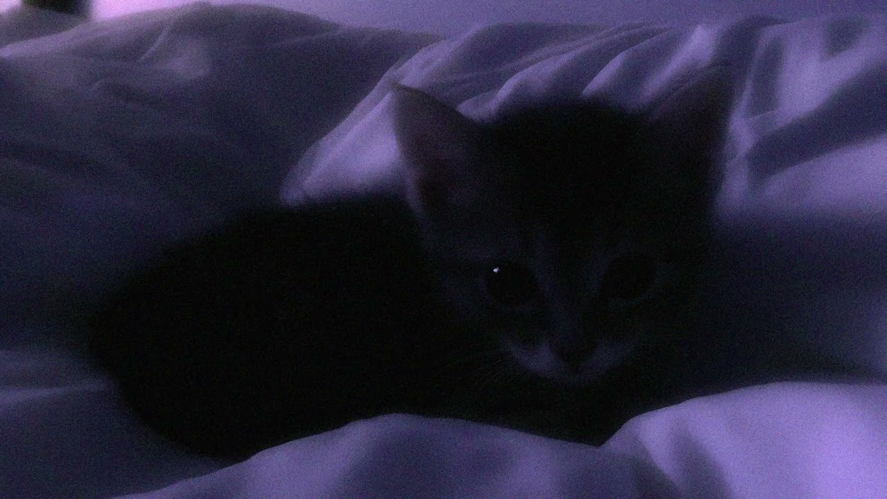 you are safe here, close your eyes.