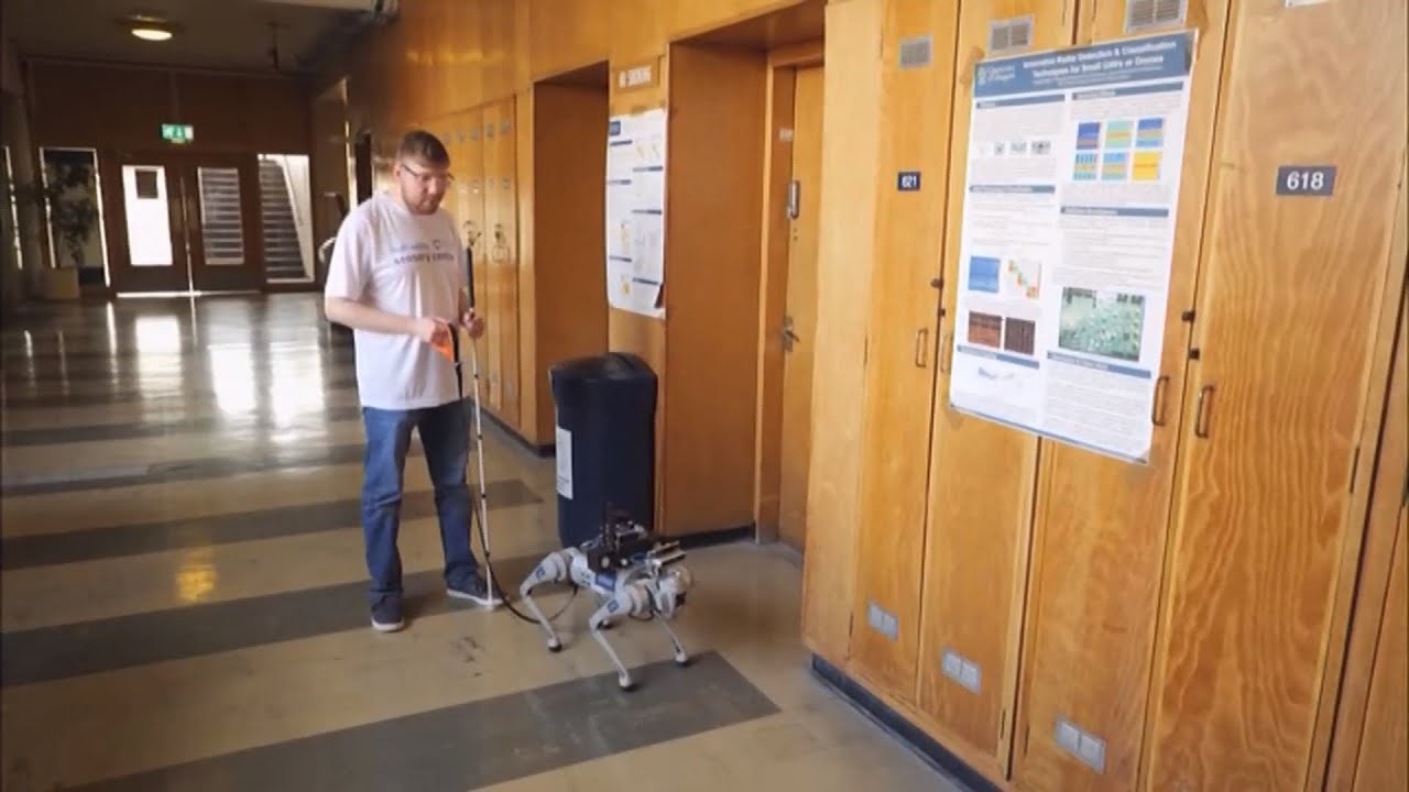 AI-powered robot guide dogs developed for visually impaired (UK)