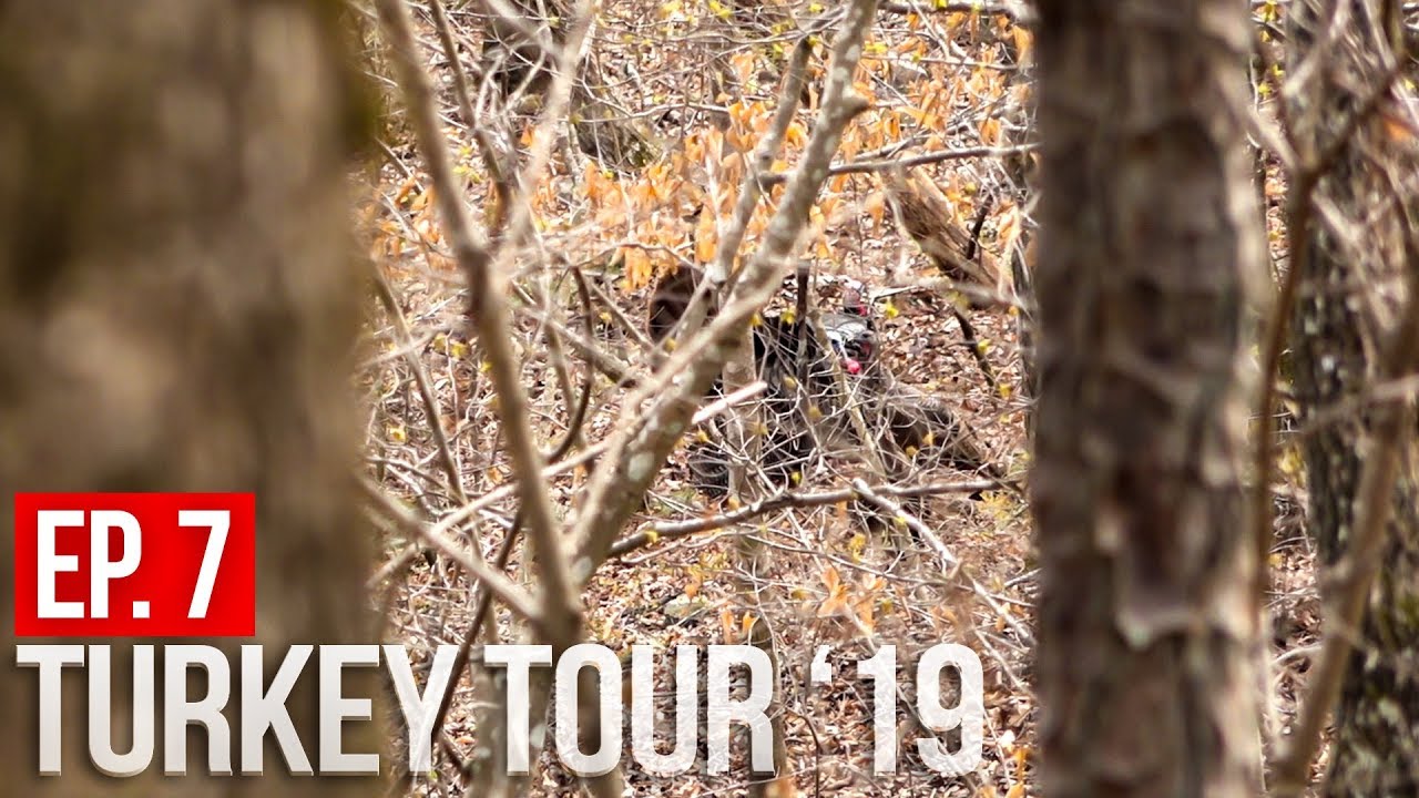 TED'S LAST CHANCE - Alabama Public Land