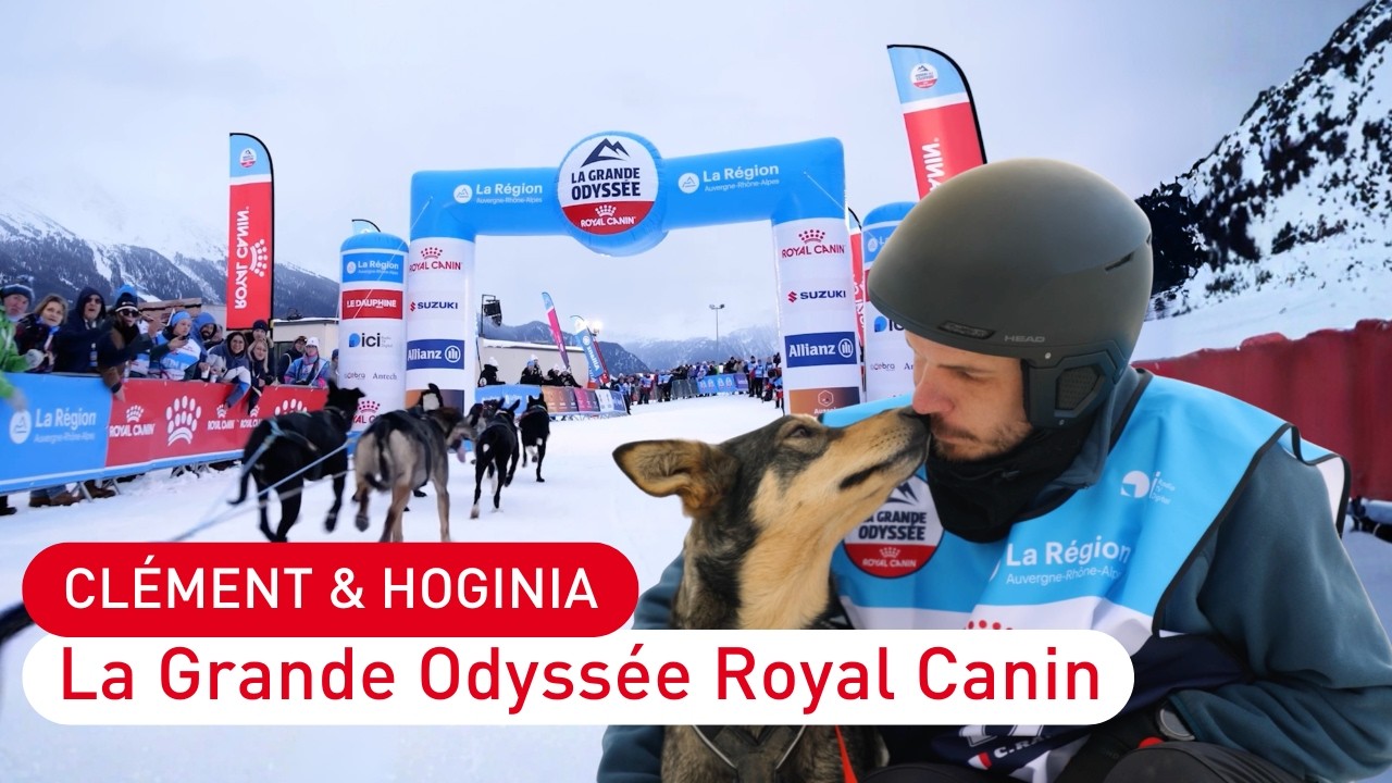 La Grande Odyssée Royal Canin à travers les yeux d’Hoginia, chienne de tête