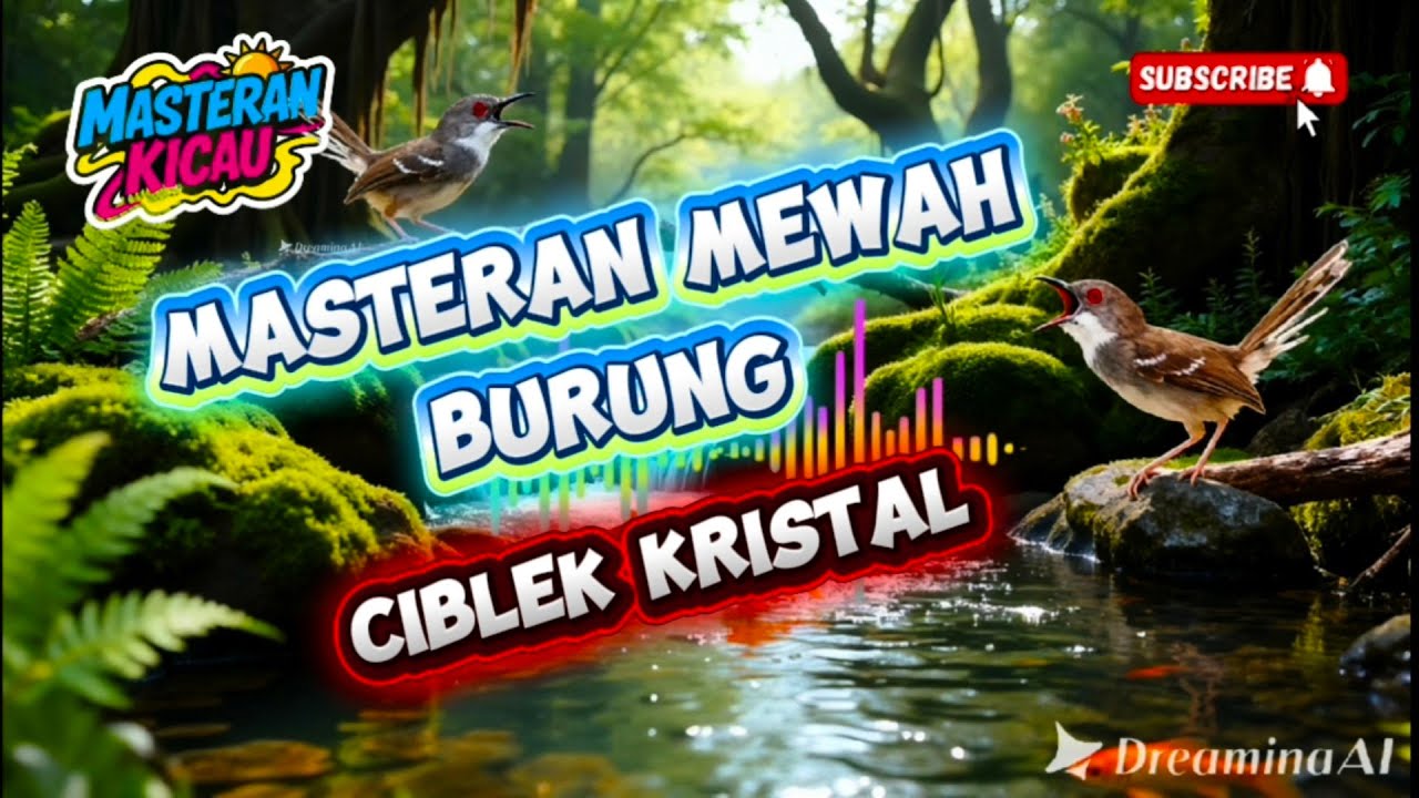 MASTERAN MEWAH BURUNG CIBLEK KRISTAL DI JAMIN 💯TOP!!!