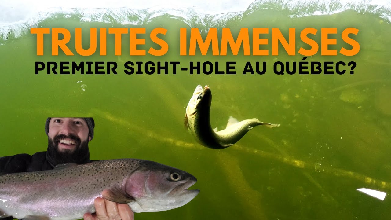 Pêche à la truite arc-en-ciel à vue?! et nouveau record!