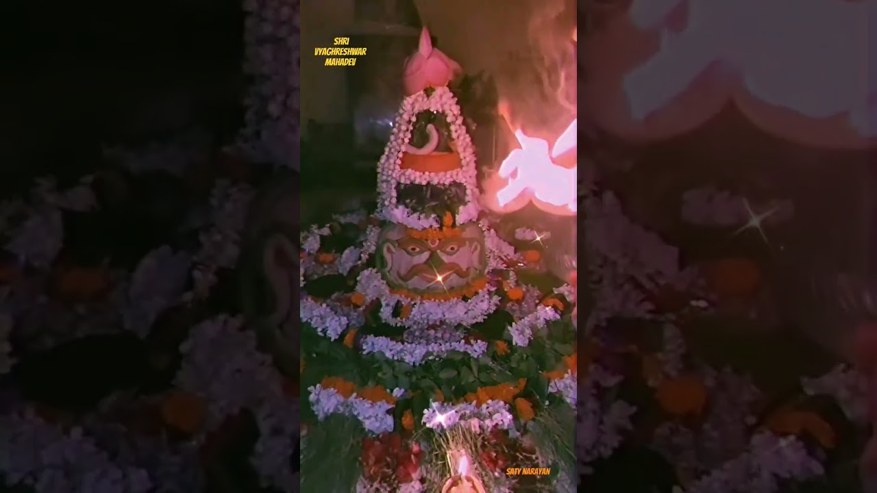 श्री व्याघ्रेश्वर महादेव। श्री व्याघ्रेश्वर महादेव की आरती।#mahadev #kashi #short