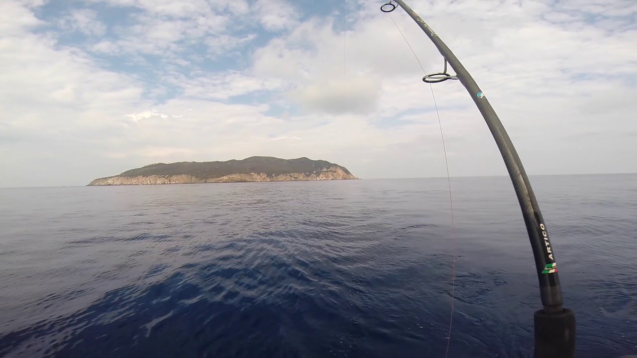 ponza ponza ponza