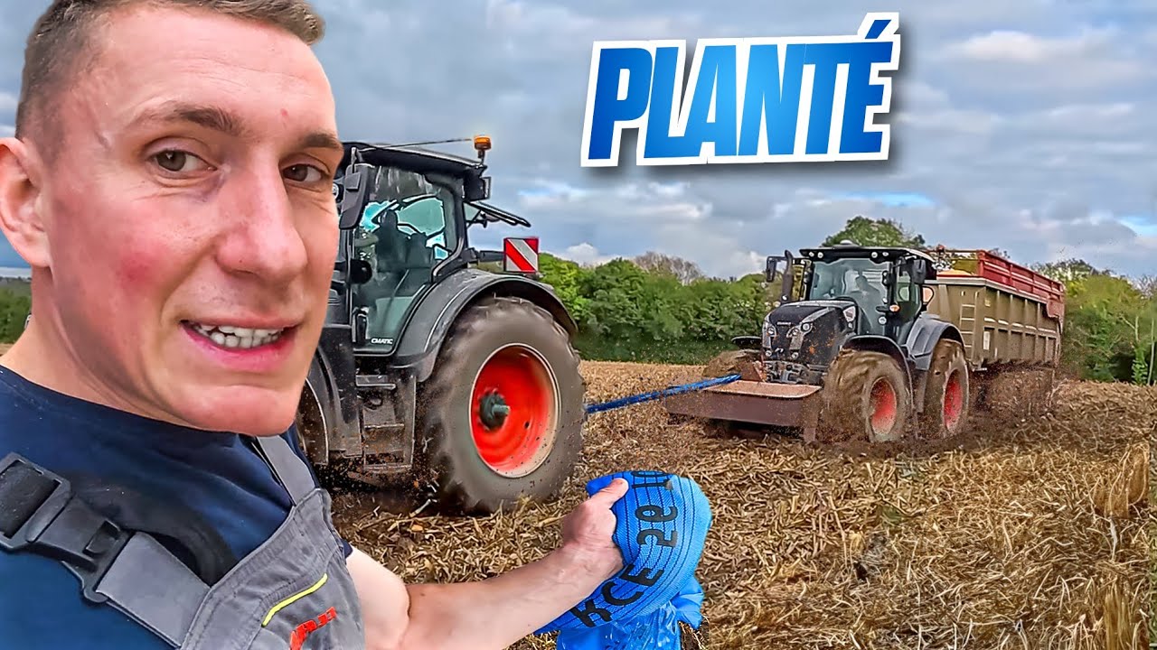 MOISSON DES MA&Iuml;S 2024, ENFIN !