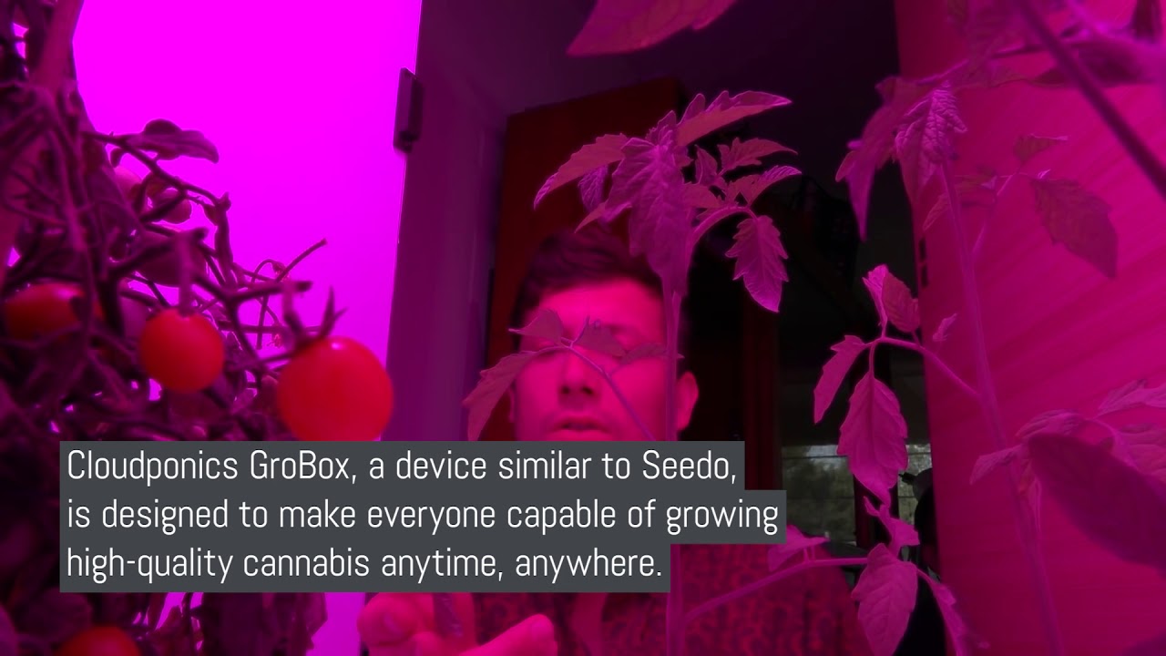 These tech-enhanced gardening solutions turn amateurs into pros