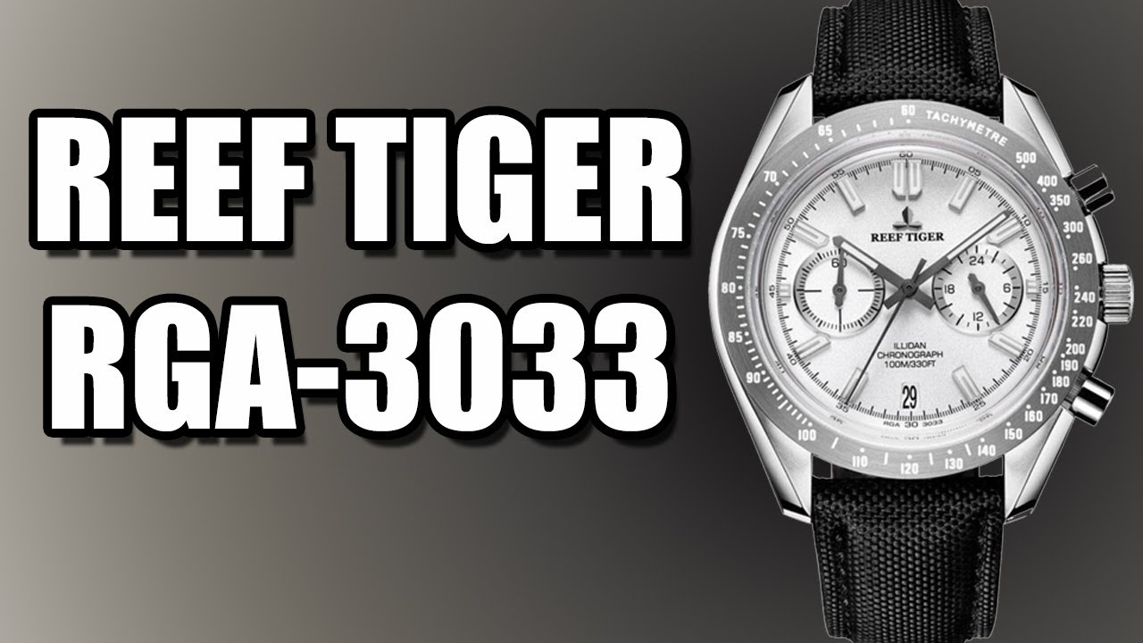 🎥Reef Tiger RGA3033 | A Cinematic Exploration | #Shorts #SchwartzShorts