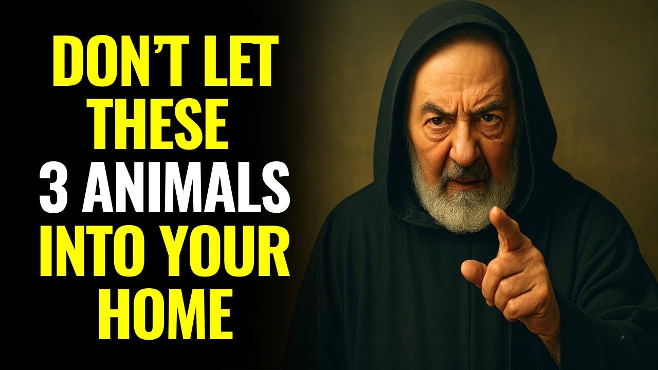PADRE PIO REVEALED: THE 3 ANIMALS A CHRISTIAN SHOULD NEVER LET INTO THEIR HOME &mdash; FEW KNOW THIS