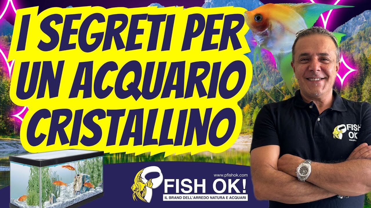 💦🐟 Scopri I Segreti per un Acquario Cristallino