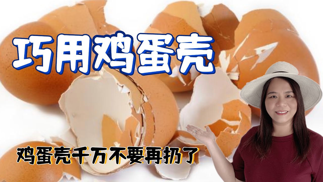 巧用鸡蛋壳，鸡蛋壳千万不要再扔了，是养花种菜的好肥料
