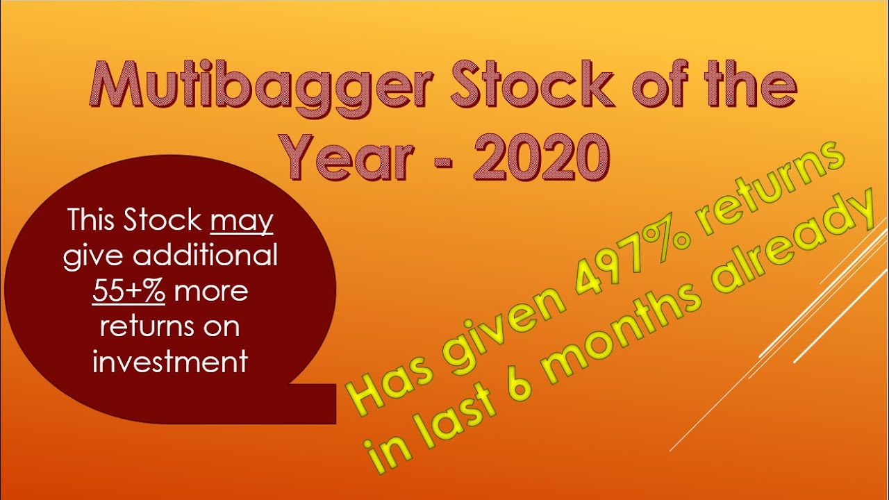 Multibagger Stock of the Year 2020
