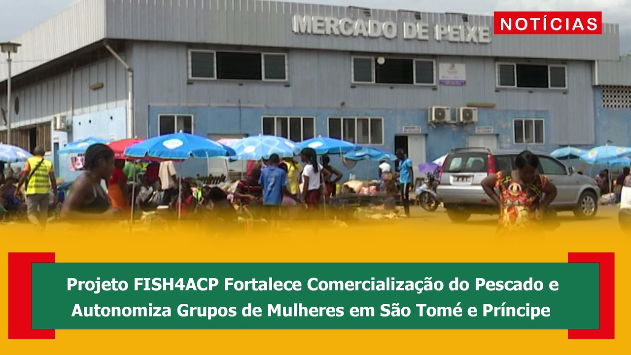 Projeto FISH4ACP Fortalece Comercialização do Pescado e Autonomiza Grupos de Mulheres em STP