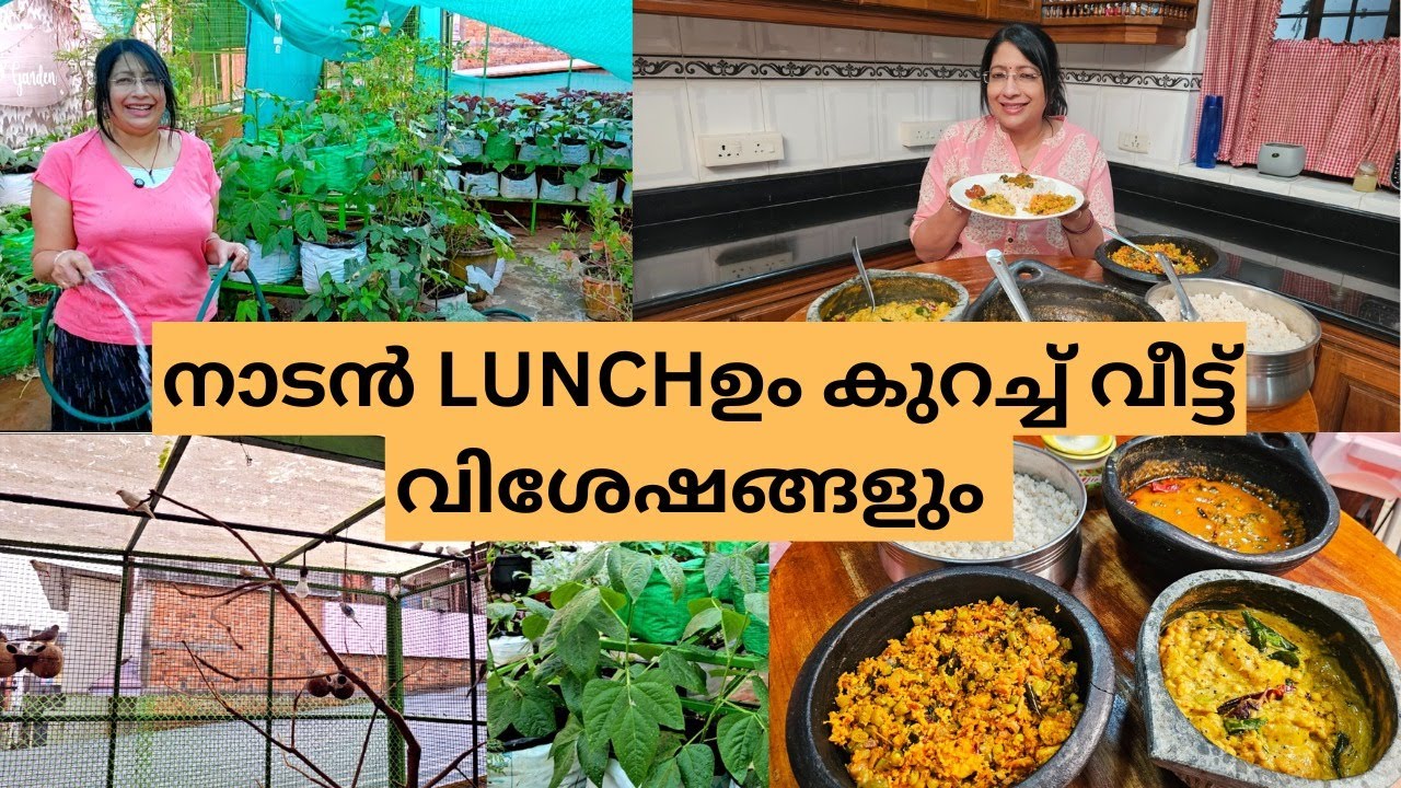 ഒരു നാടൻ ഊണും കുറച്ചു വീട്ട് കാര്യങ്ങളും|വെണ്ടക്ക വറുത്തകറി|കടല പരിപ്പ് മത്തൻസ്റ്റു |ബീൻസ് കൊഞ്ച്പീര