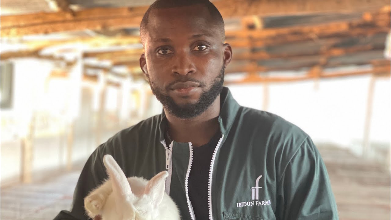 🚨Premier Centre de sélection génétique lapin africain : tout savoir sur la génétique hypharm#optima