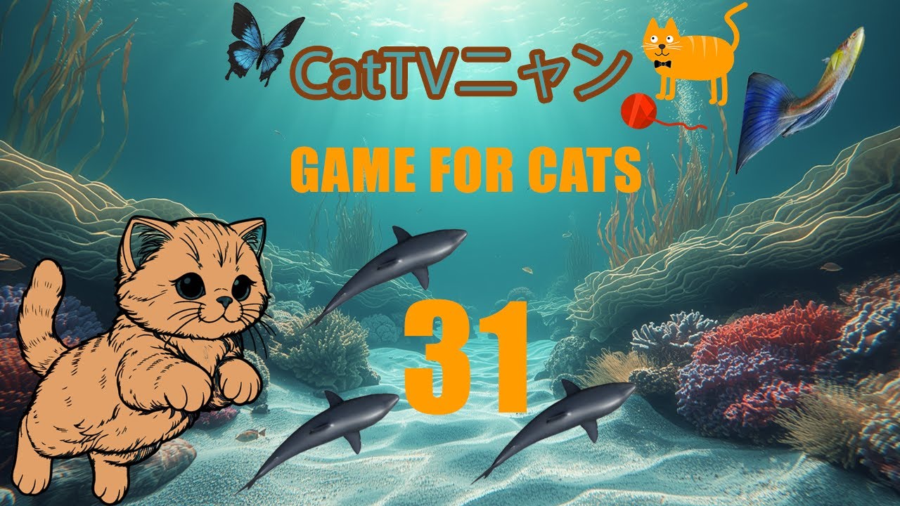 猫の本能全開！4時間の狩りタイム🎯 | CatTVニャン #31
