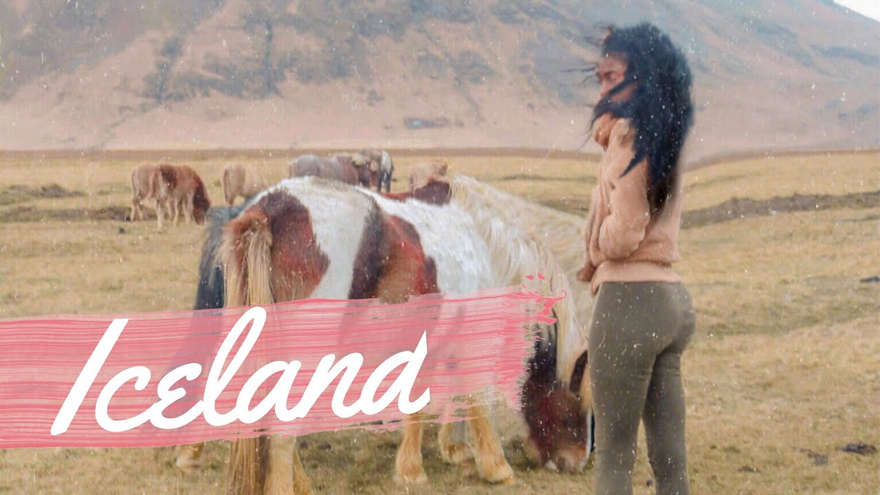 My new favorite country ICELAND 🇮🇸 | #MaryjanesWorldTourLastLeg | Vlogmas DAY ONE
