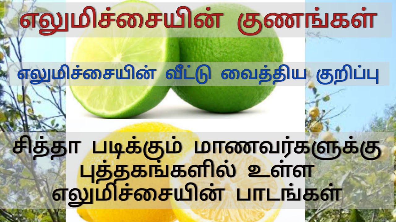 Elumichai mattrum athan payangal.
