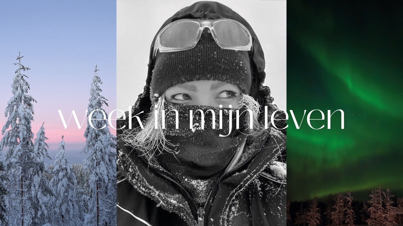 WEEKVLOG 17 ❄️ Mijn verjaardag vieren in LAPLAND! Snowscooter, Husky sledding en NOORDERLICHT!