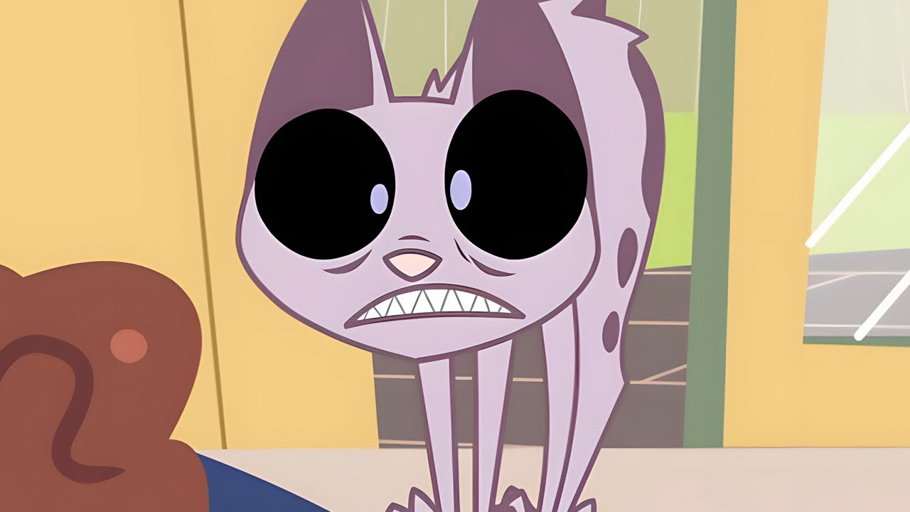 Sigan Meciéndose / Está En La Bolsa | Niño Vs. Gato - WildBrain