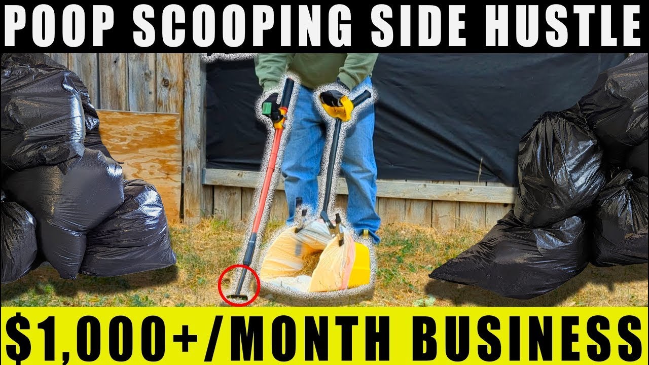Pet Waste Removal Business 101: Everything You Need To Know
