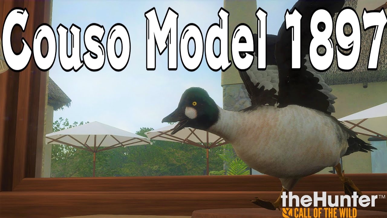 ポンプアクションショットガンで行く鳥狩『Couso Model 1897』 【theHunter: Call of the Wild】