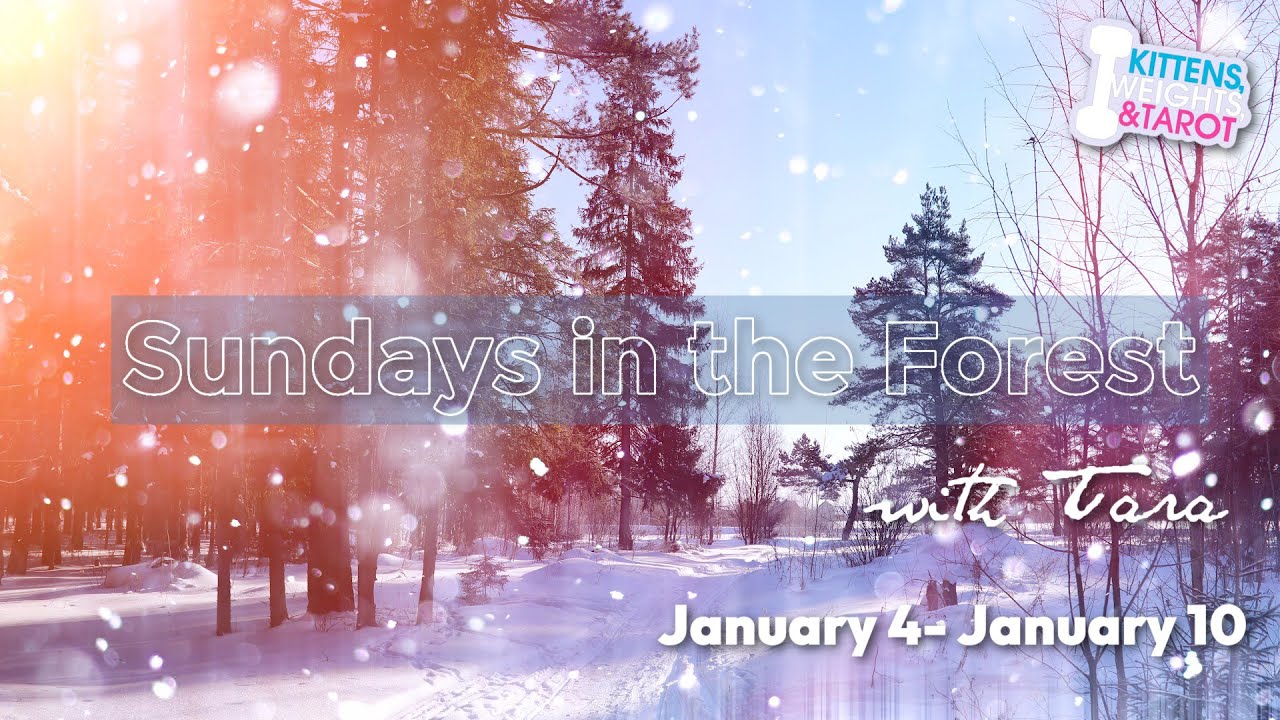 🌲Sundays in the Forest: Herbal FYI + Herb of the Week + Readings