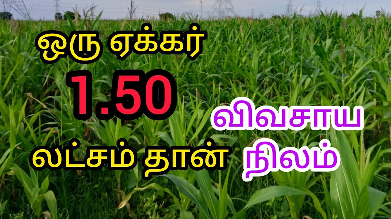 1.50 லட்சம் தான் ஒரு ஏக்கர்  விவசாய நிலம் விற்பனைக்கு