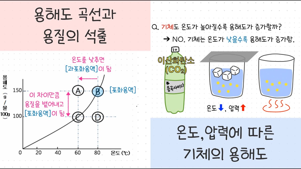 [중② 1단원] 2강. 용해도┃용해도 곡선 해석하기┃기체의 용해도👻