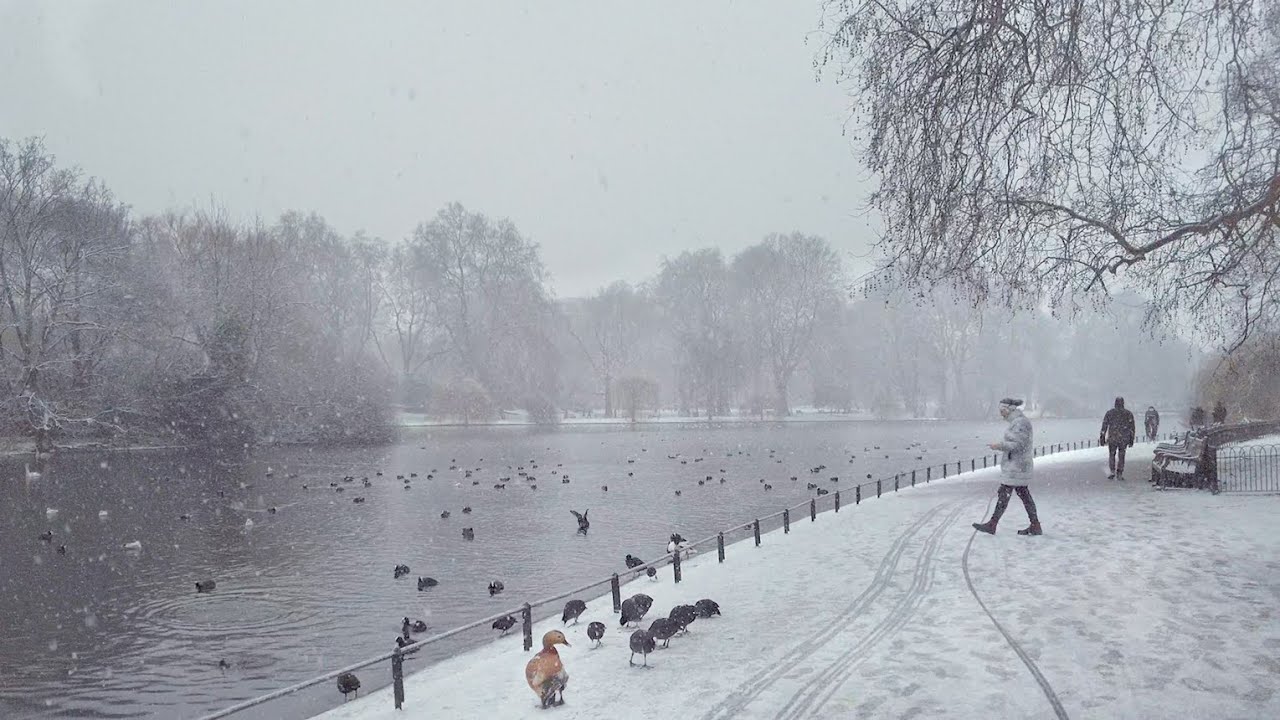 London Snow Walk ☃️ Snowing in St James’s Park