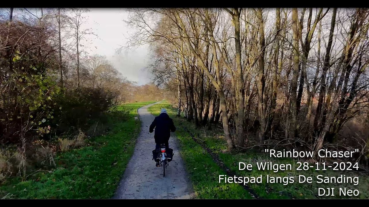 663. De Wilgen 