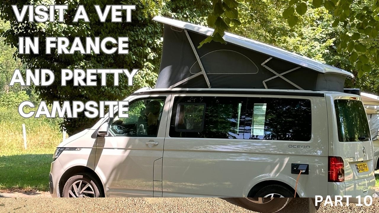 Travel through France for Dog Vet appointment in VW California Ocean Campervan stay Merry-sur-Yonne