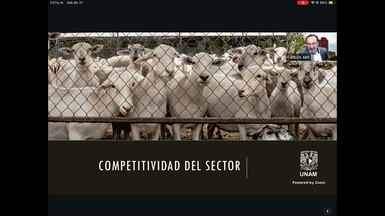 Curso Aspectos Básicos de la engorda de ovinos y caprinos 2023 cap 1