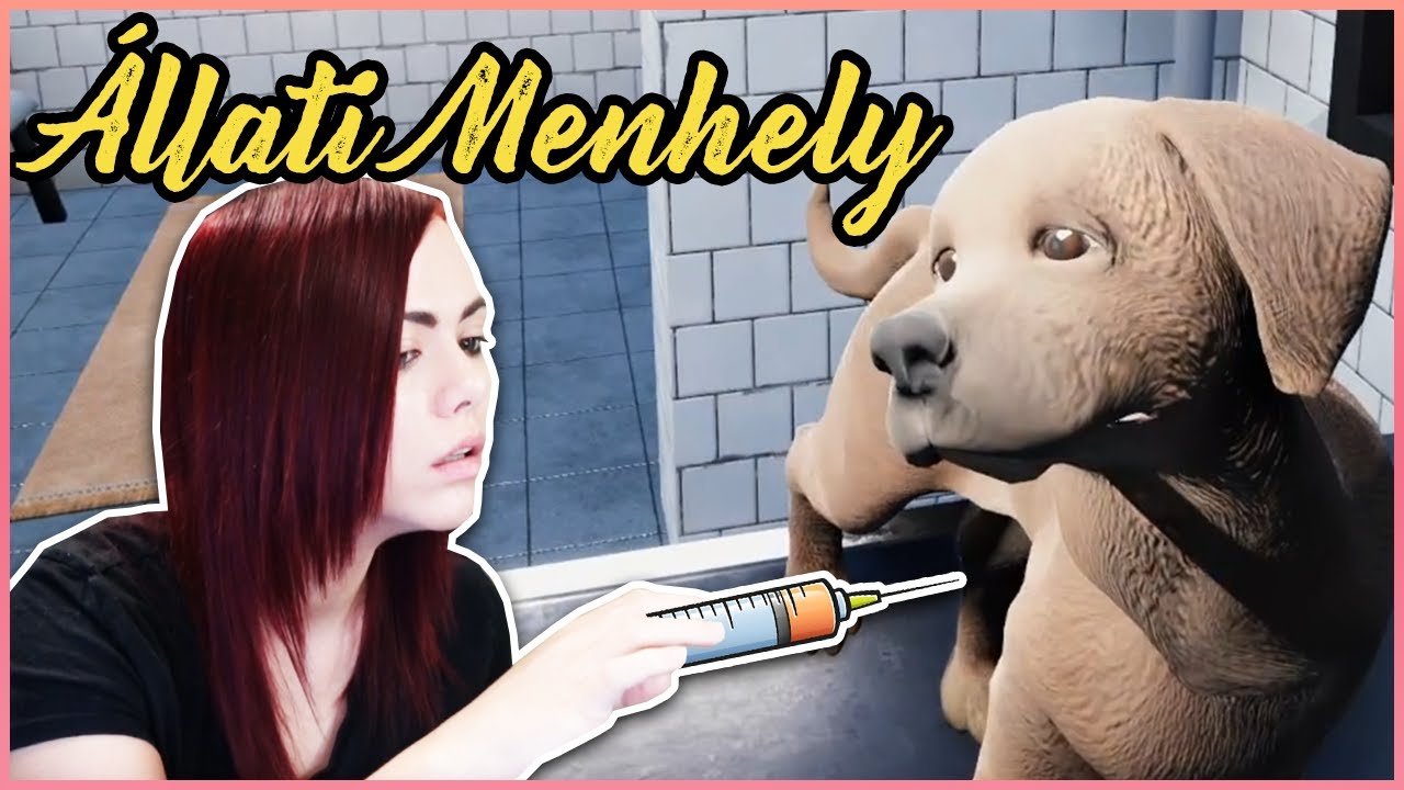 KÉSZ A RENDELŐ! 👩‍⚕️ - AZ ÁLLATI MENHELY! 🐕 #4