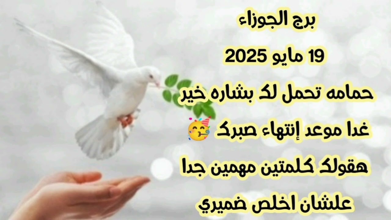 برج الجوزاء 19 مايو 2025//حمامه تحمل لك بشاره خير 💫 غدا موعد إنتهاء صبرك 🥳 هقولك كلمتين مهمين جدا