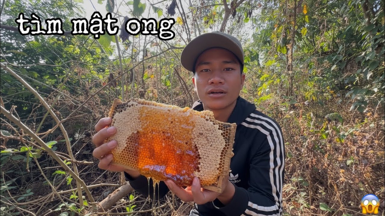 MỘT NGÀY ĐI KIẾM MẬT ONG | Y ĐIÊU 