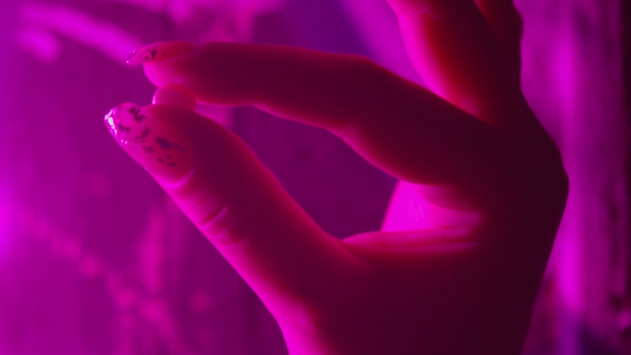 Informe revela que su uso incitar&iacute;a el consumo de drogas