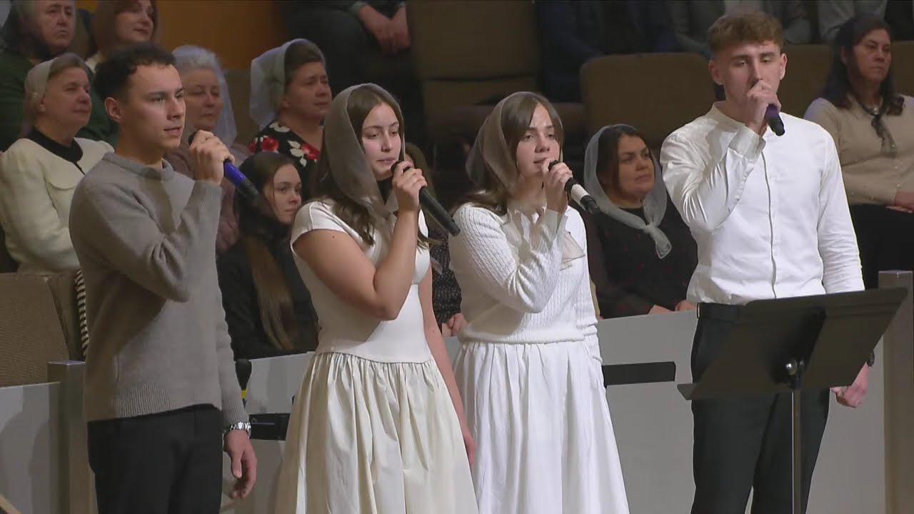 При дорозі лілія цвіла