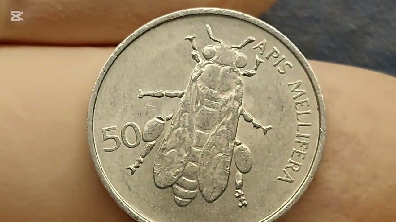 The Golden Bee of Slovenia: 1993 50 Stotinov Full Analysis & Market Value