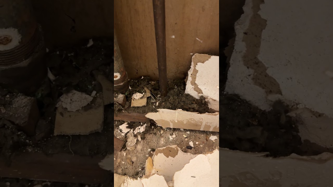 Asbestos exposure hazards:  sheet rock and insultation