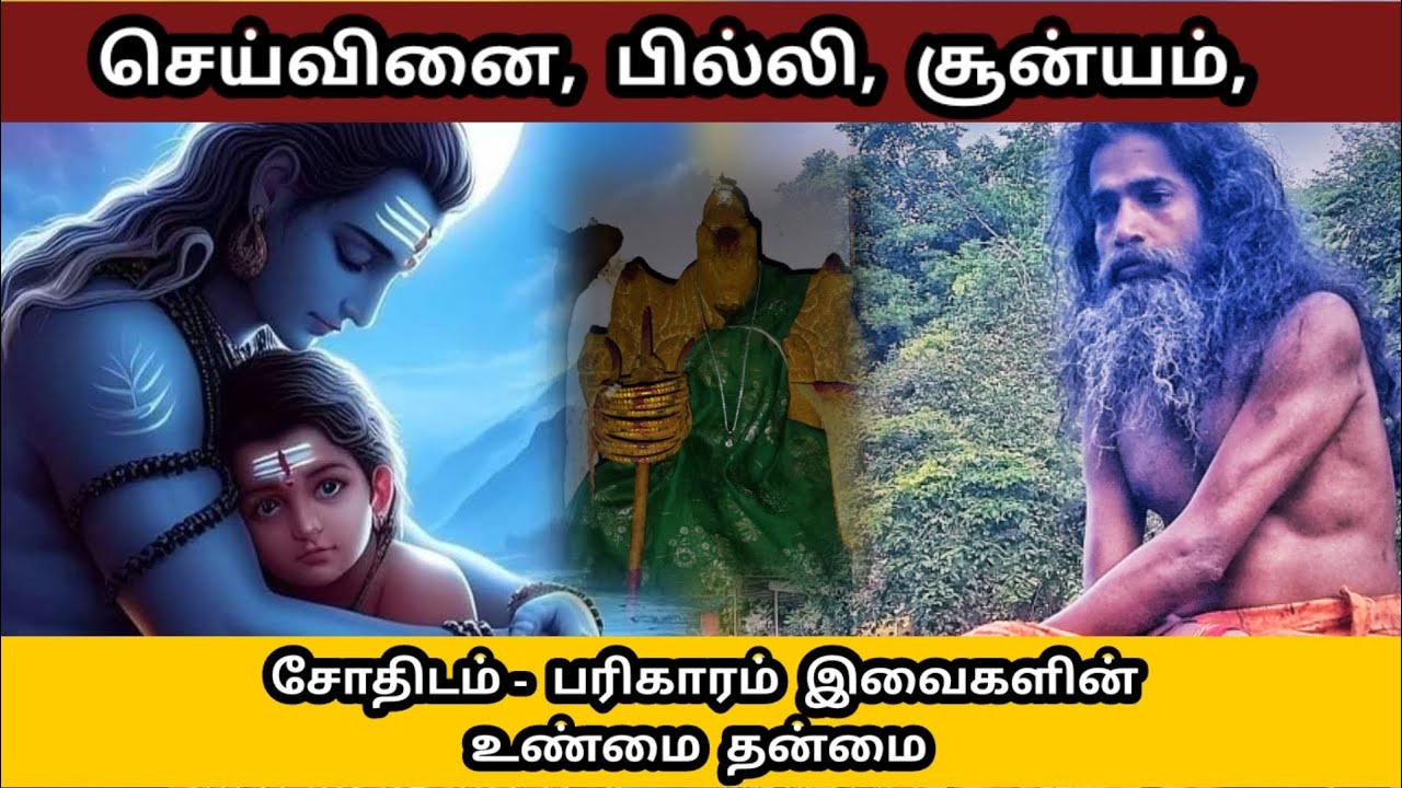 செய்வினை, பில்லி, சூன்யம், சோதிடம் - பரிகாரம் இவைகளின் உண்மை தன்மை 