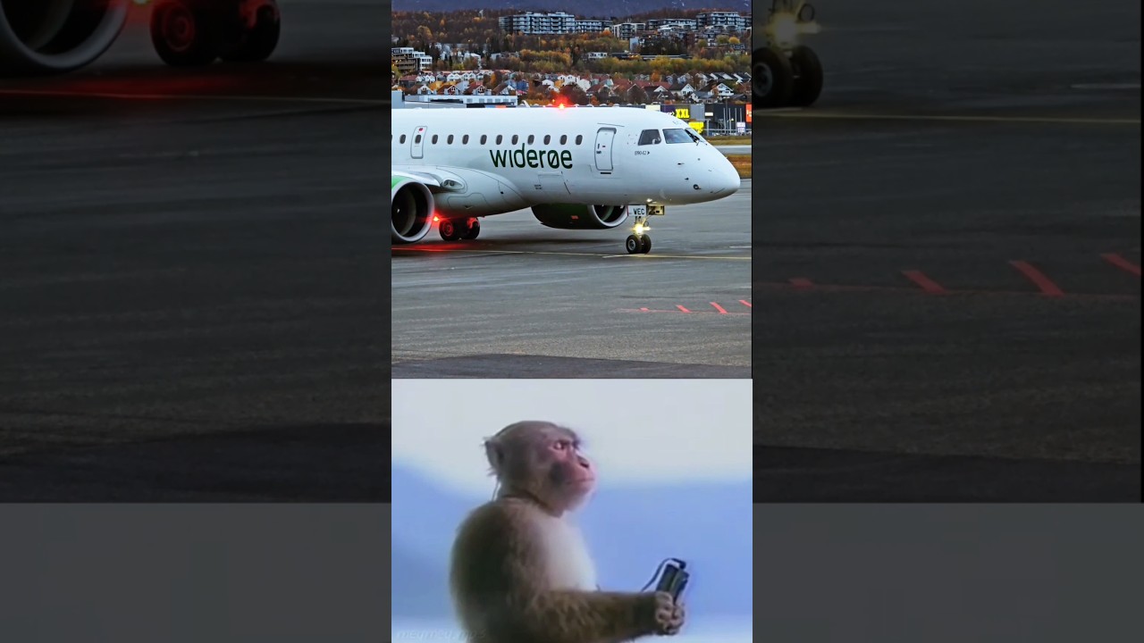 The howls of the Pratt & Whitney PW1900G engines got me like..