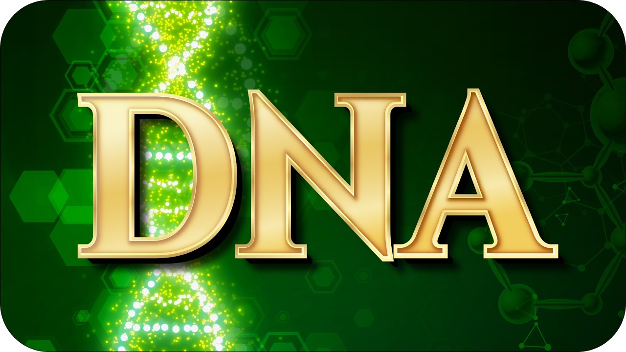 Yarısı Babamdan, Yarısı Annemden! DNA Şarkısı 🎵 (LVBEL C5 KISKANDI)