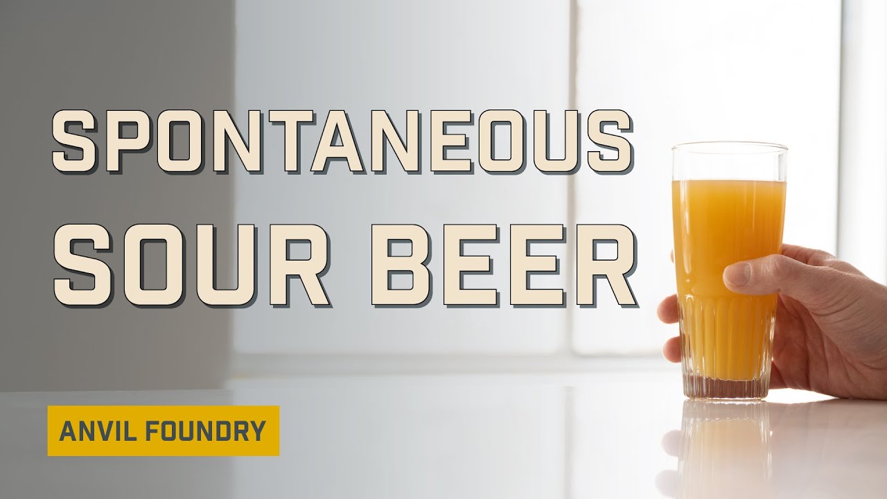 Brew a Spontaneous Sour Beer | Anvil Foundry 6.5 | EP 5