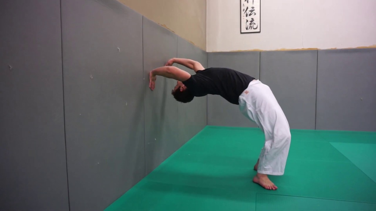 Aiki Taiso Body workout - Rolling on the front, mobility & curvature - Xavier Dufau