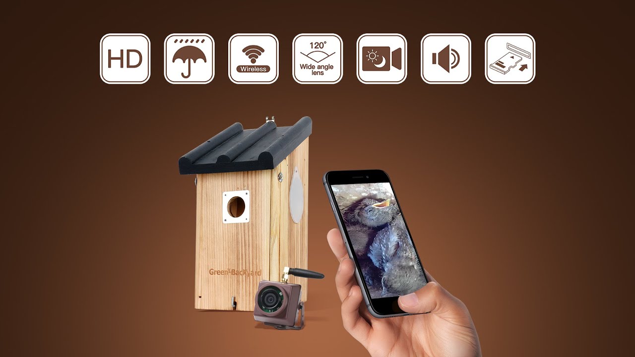 Hoe een draadloze nestkast camera in te stellen