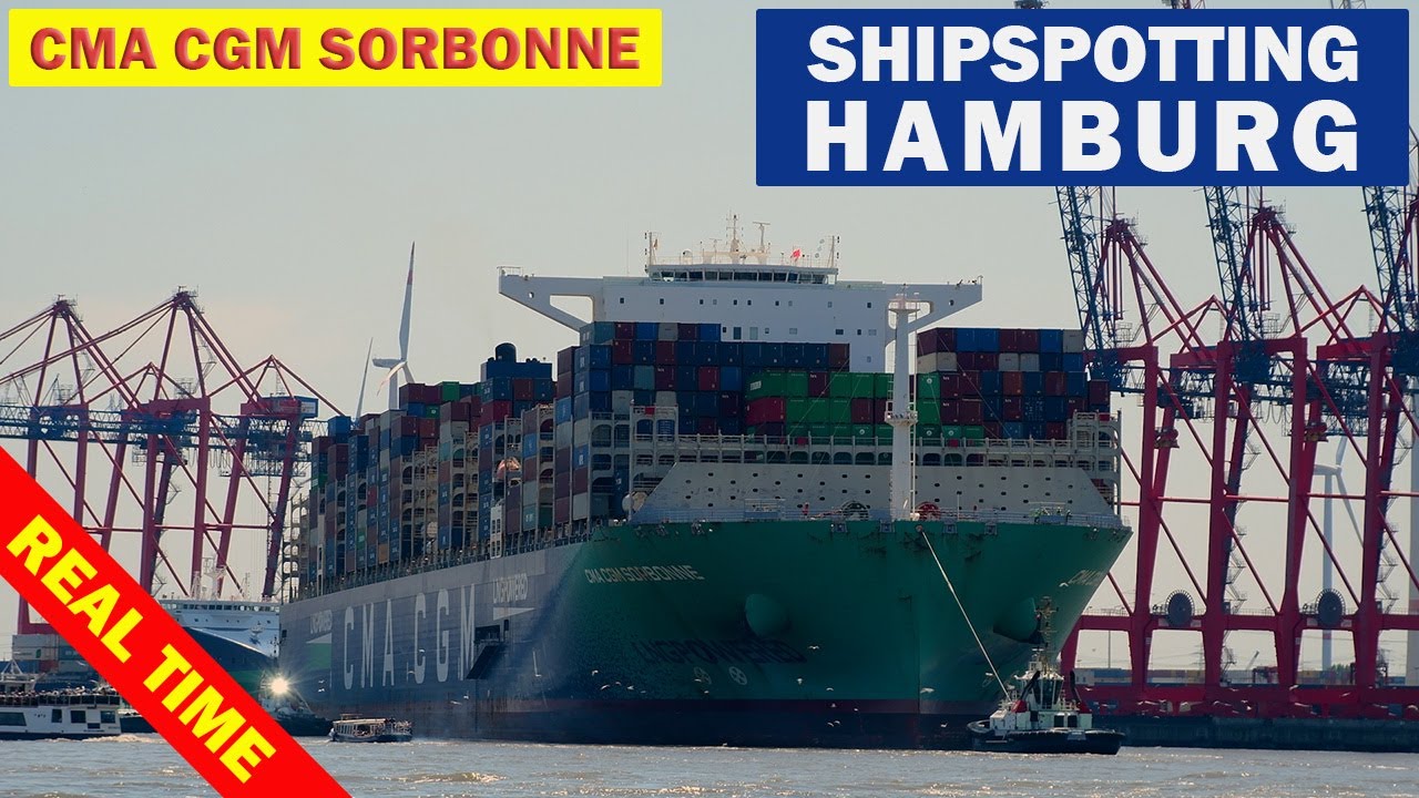 CMA CGM SORBONNE im Hamburger Hafen, Hamburg Waltershofer Hafen, Shipspotting, Echtzeit