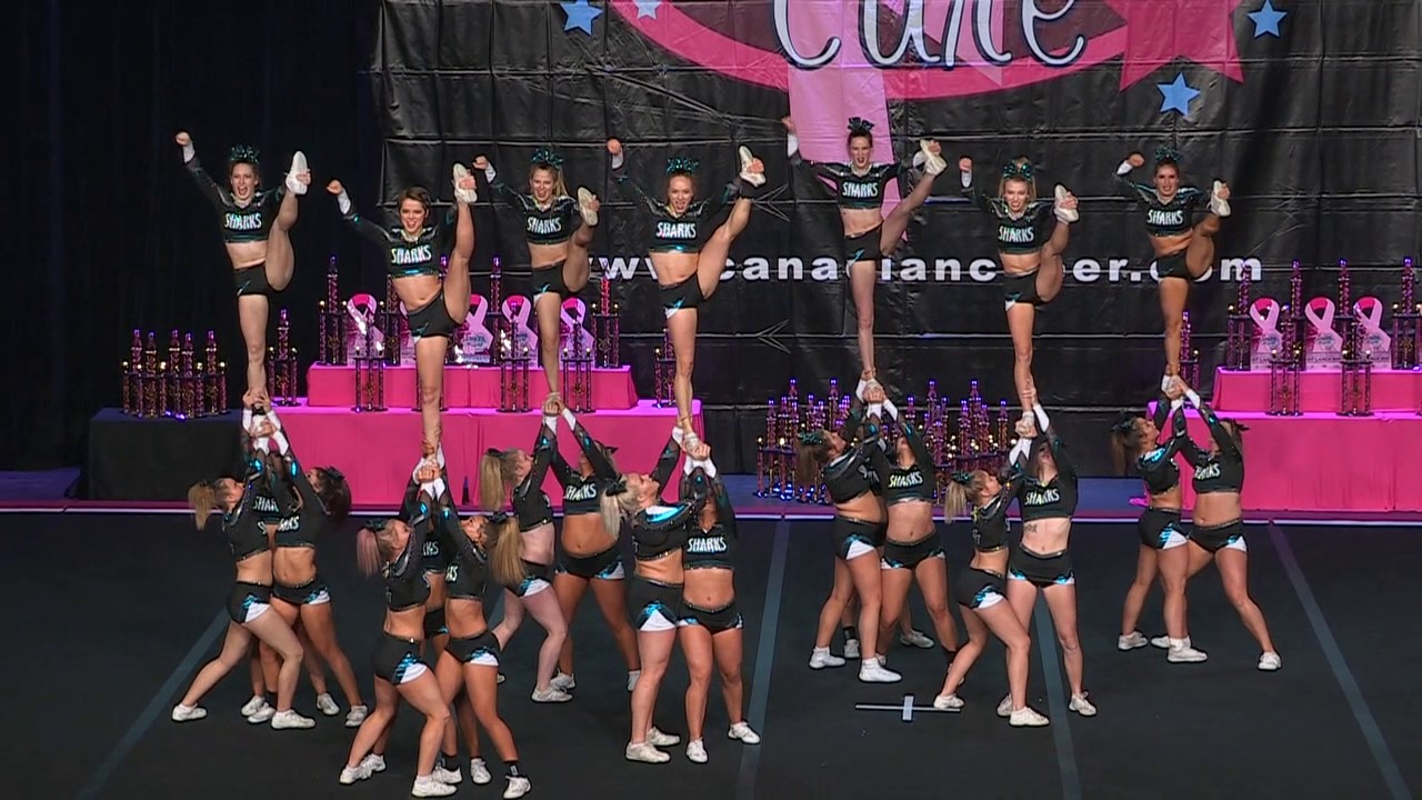 Cheer Sport  Grey Reef Sharks   Int'l Open  6   Run 1