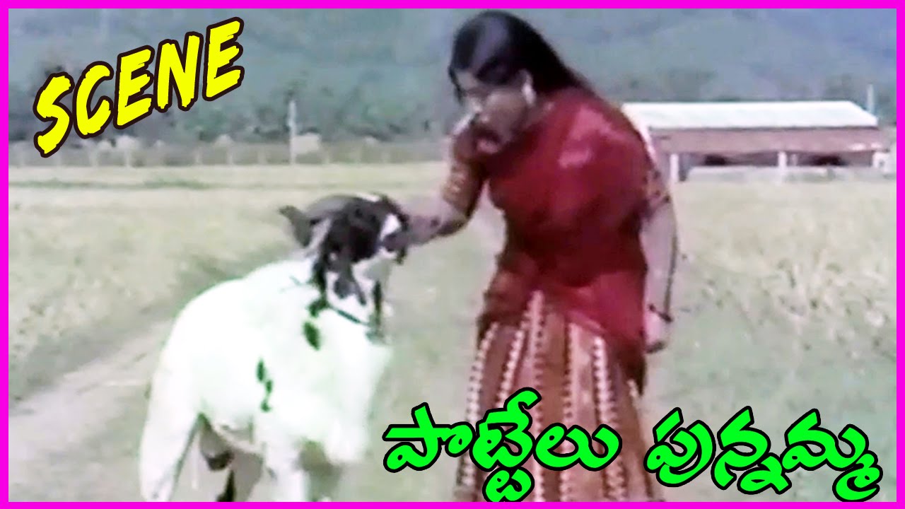 Pottelu Punnamma || Telugu Movie Scene  - Murali Mohan,Sri Priya