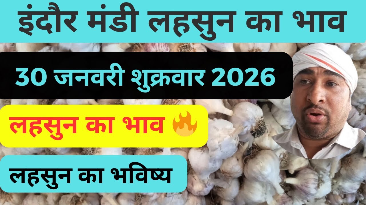 indore mandi lahsun ka bhav          #lahsunaajkabhav  #garlicpricetoday 