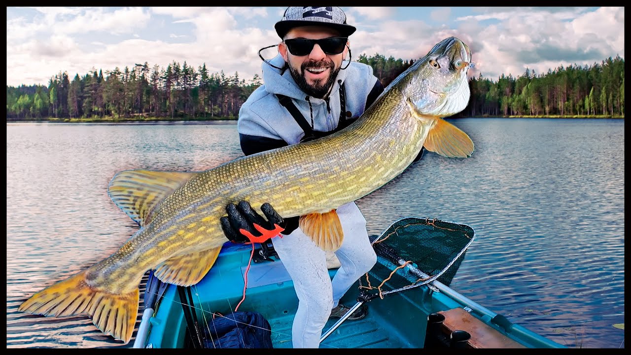 36 # ➡️ CAPTURAS ÉPICAS -  Técnicas y consejos para la pesca del LUCIO y BLACK BASS